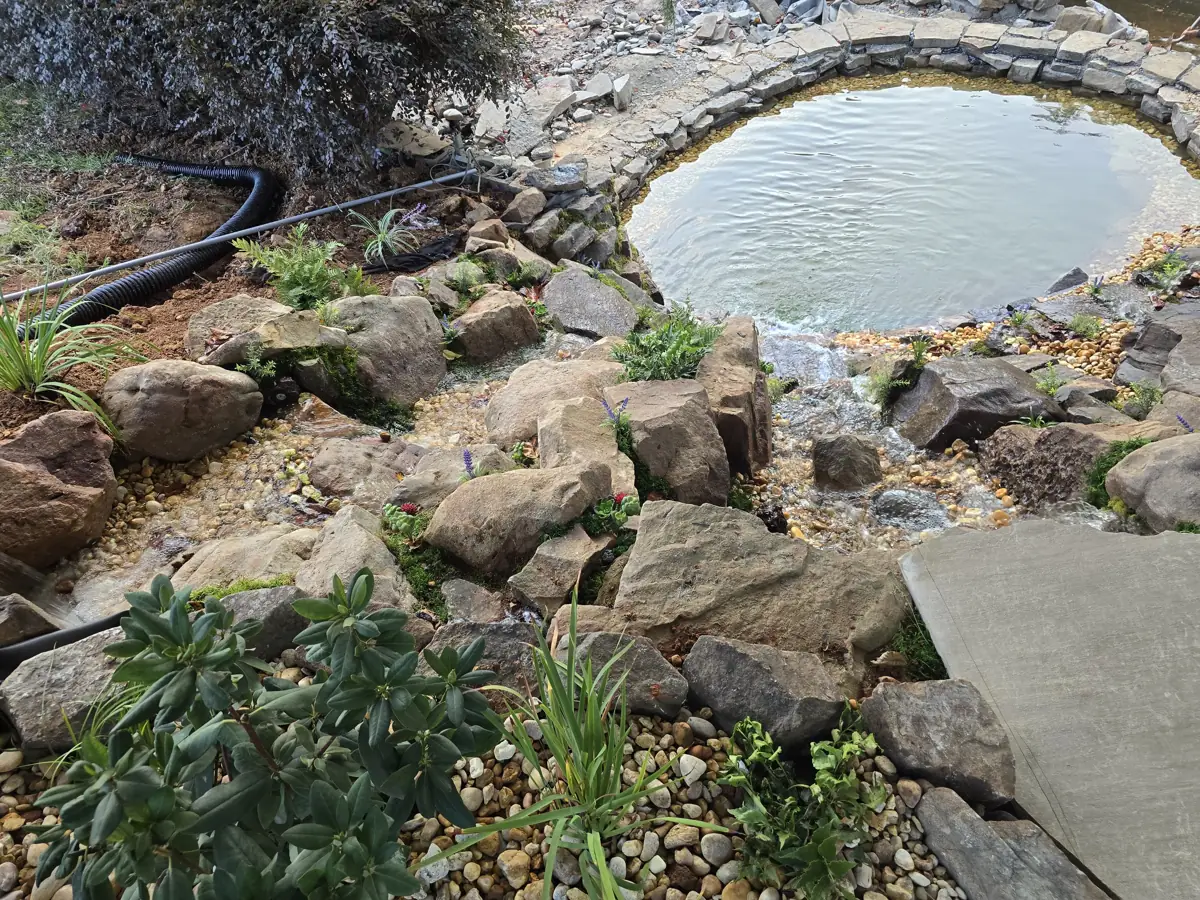 Rock-lined stream with ferns and moss running into a stone-edged pond